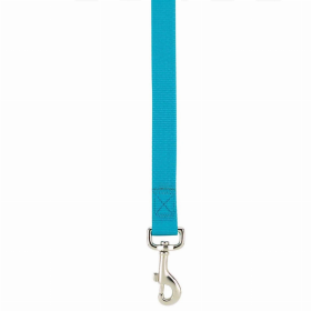 CC Lead 4FtX5/8In Blu