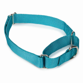 GG Nylon Martingale Collar 14-20In LtB