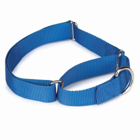 GG Nylon Martingale Collar 18-26In Blu
