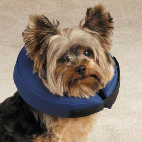 TH Inflatable Collar XS Blu