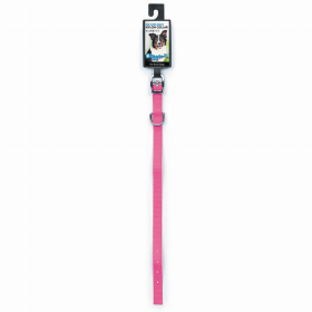 DGR 1/2in Nylon Collar 16in Neon Pink