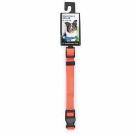 DGR 1in Adjustable Collar Neon Org