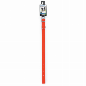 DGR 5/8in Nylon Collar 12in Neon Org
