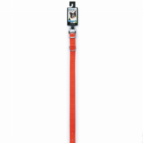 DGR 3/4in Nylon Collar 16in Neon Org