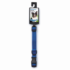 DGR 1in Adjustable Collar Blue