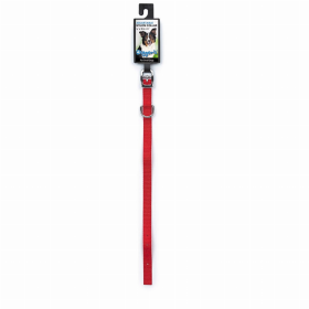 DGR 1/2in Nylon Collar 12in Red
