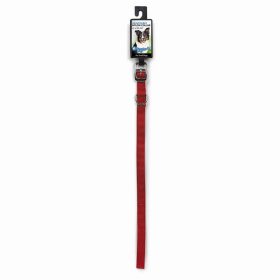 DGR 5/8in Nylon Collar 10in Red