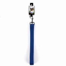 DGR 1in Nylon Lead 72in Blue