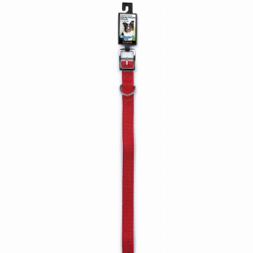 Diggers 1in Dbl Nylon Collar 18in Red