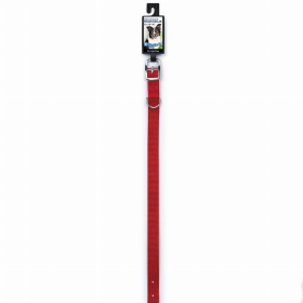 DGR 3/4in Nylon Collar 20in Red