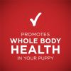 Purina ONE +Plus Lamb & Long Grain Rice Wet Puppy Dog Food 13 oz Can