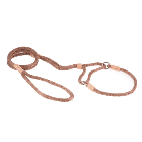 Nylon Martingale Leads (10in x 1/4in or 6mm) (size: 10in x 1/4in or 6mmOptionJOINT EASE MEAL TOPPER CAT - Turkey Flavoring)