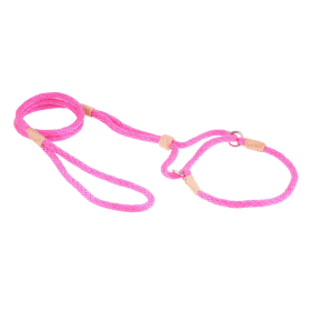Nylon Martingale Leads (10in x 1/4in or 6mm) (size: 10in x 1/4in or 6mmOptionJOINT EASE MEAL TOPPER DOG & CAT)