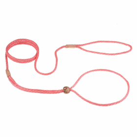 Nylon Adjustable Loop Lead (52in x 1/8in or 4mm) (size: 52in x 1/8in or 4mmOptionDog & Cat)