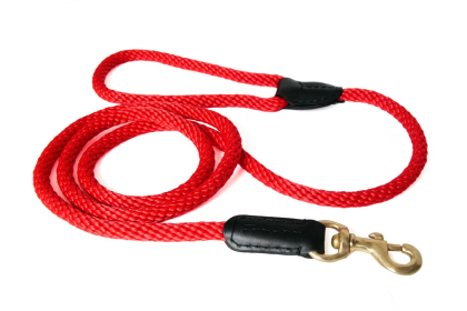 Rope and Leather Snap Lead (4ft x 3/4 in) (size: 4ft x 3/4 in)