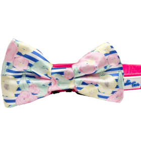 Cutie Ties Dog Bow Tie (size: One SizeColorMulticolor)