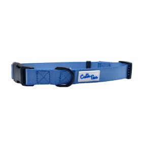 Cutie Ties Fun Design Dog Collar (size: MediumColorMultineon)