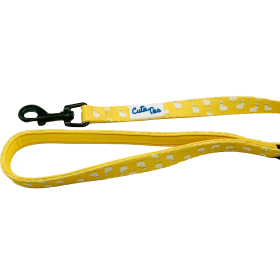 Cutie Ties Fun Design Dog Leash (size: LargeColorPeach)
