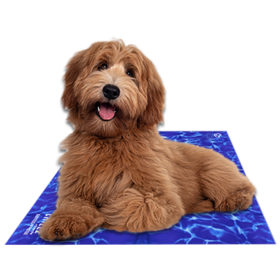 Chillz Gel Mat (Color: Wave, size: XL)
