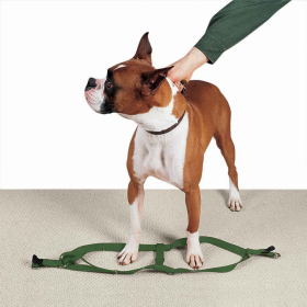 CC Nylon 2 Step Harness 9-15In Grn (Color: Dark Green, size: 9-15in)