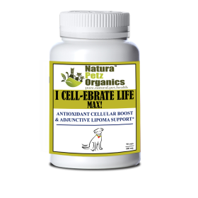 I Cellebrate Life Max - Antioxidant Cellular Boost + Adjunctive Lipoma Support* (size: DOG/ 90 caps / 500 mg /NO Flavoring)