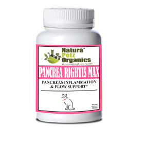 Pancrea Rightis Max Support* Capsules Pancreas Inflammation & Flow Support Dogs Cats* (size: CAT - 90 caps / 250 mg)