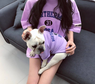 USA - Matching Pet and Owner Clothing Set (Color: purple, size: small)