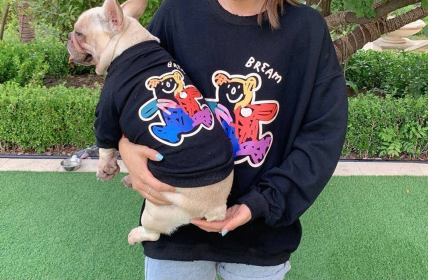 Teddy Bear - Matching Pet and Owner Clothing Set (Color: black, size: 4XL)