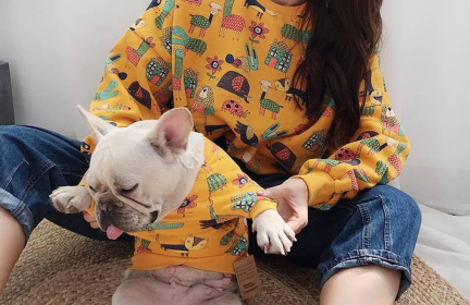 Animal Pattern - Matching Pet and Owner Clothing Set (Color: Yellow, size: 3XL)