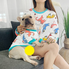 Little Dinosaur - Matching Pet and Owner Clothing Set (Color: White, size: large)
