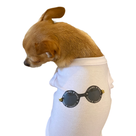 My Summer CC Sunnies (size: large)