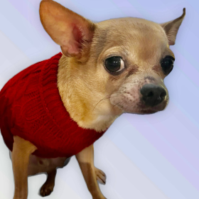 Knit Turtleneck Dog Sweater (Color: Wine Red, size: medium)