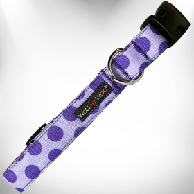Polka Dot Dog - Monotone Collars (Color: purple, size: XS 5/8" width fits 8-12" neck)