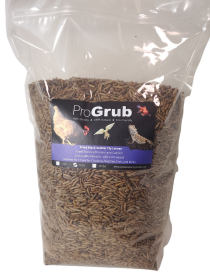 Dried Black Soldier Fly Larvae (size: 5lbs)