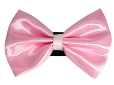 PR3001|Pets Ribbons (Color: 6, size: 3")