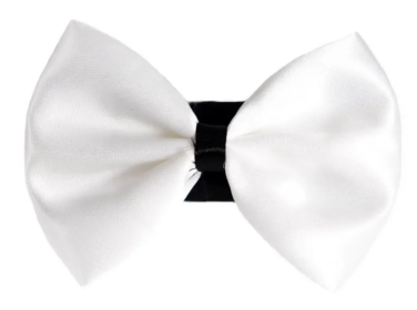 PR3001|Pets Ribbons (Color: 9, size: 4")
