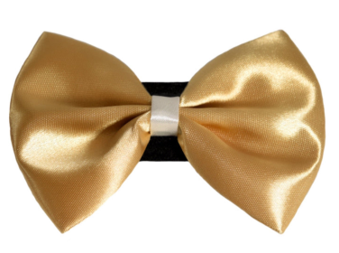 PR3001|Pets Ribbons (Color: 3, size: 4")