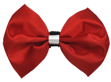 PR3001VA|Pets Ribbons (Color: Red-White, size: 6")