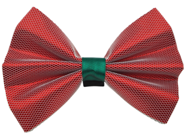 PR3004X|Pets Ribbons (Color: Red, size: 3")