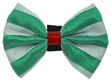 PR3006X|Pets Ribbons (Color: Green/White, size: 3")