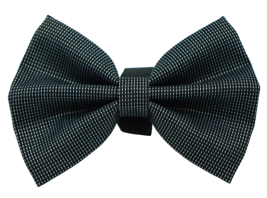 PR4006|Pets Ribbons (size: 2")