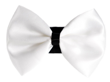 PR3001|Pets Ribbons (Color: 9, size: 5")