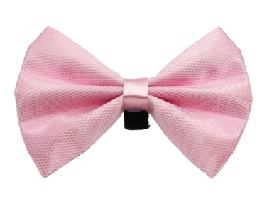 PR3004|Pets Ribbons (Color: 4, size: 5")