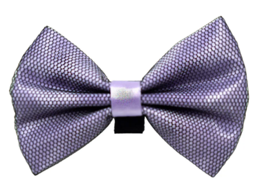 PR3005|Pets Ribbons (Color: 4, size: 5")