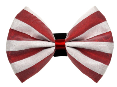 PR3006|Pets Ribbons (Color: 3, size: 2")
