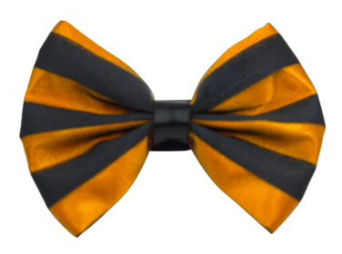 PR3006|Pets Ribbons (Color: 6, size: 2")
