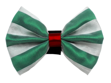 PR3006|Pets Ribbons (Color: 7, size: 2")