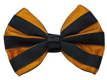 PR3006HS|Pets Ribbons (Color: Orange, size: 4")