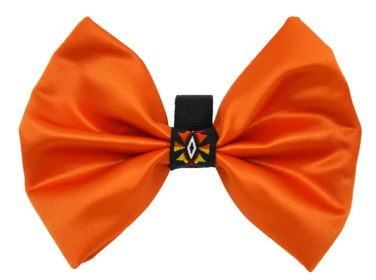 PR3007|Pets Ribbons (Color: Orange, size: 4")