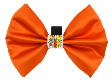 PR3008|Pets Ribbons (Color: Orange, size: 3")
